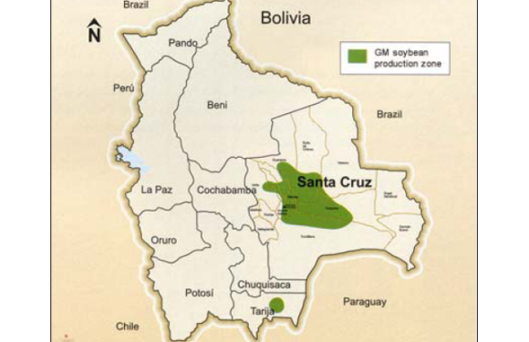 A Case of Resistance: Herbicide-tolerant Soybeans in Bolivia